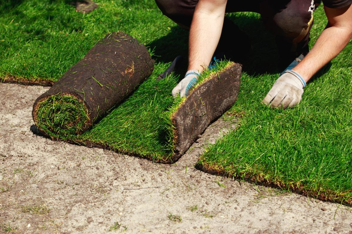 Sod Installation